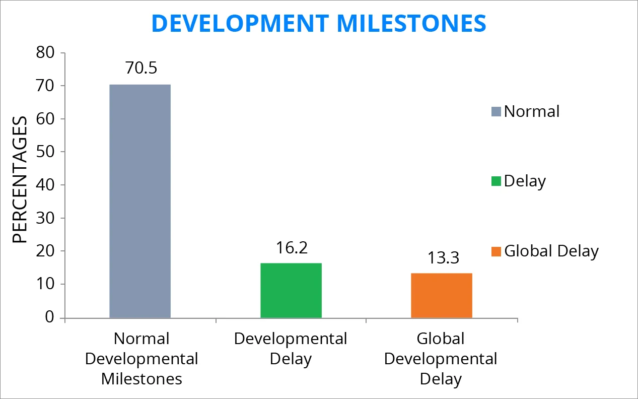 development milestones